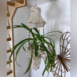 Seashell plant hanger.